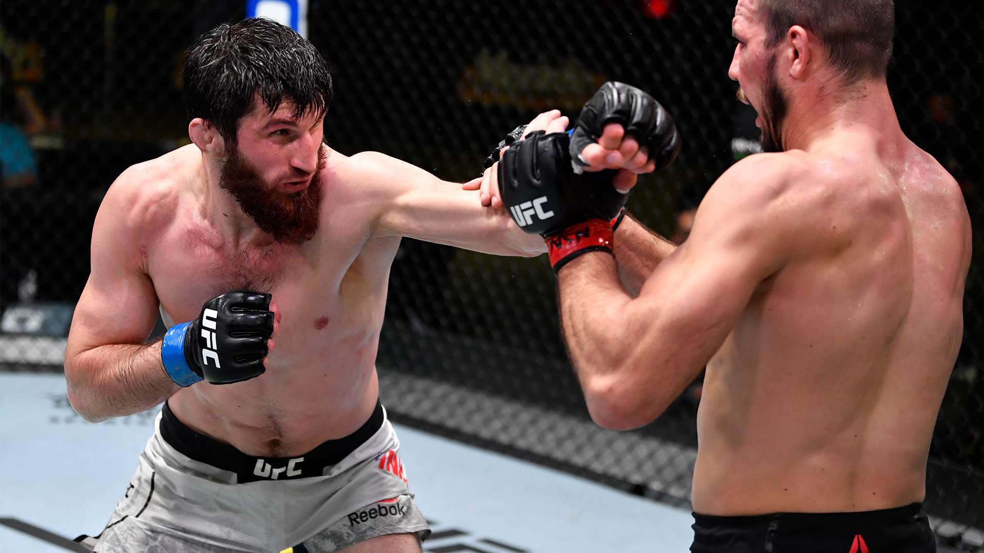 相关的讽刺 相关的讽刺